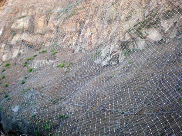 邊坡防護網圖片3